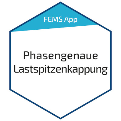 FEMS App Phasengenaue Lastspitzenkappung