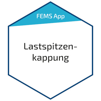 FEMS App Lastspitzenkappung