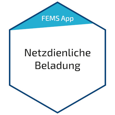 FEMS App netzdienliche Beladung