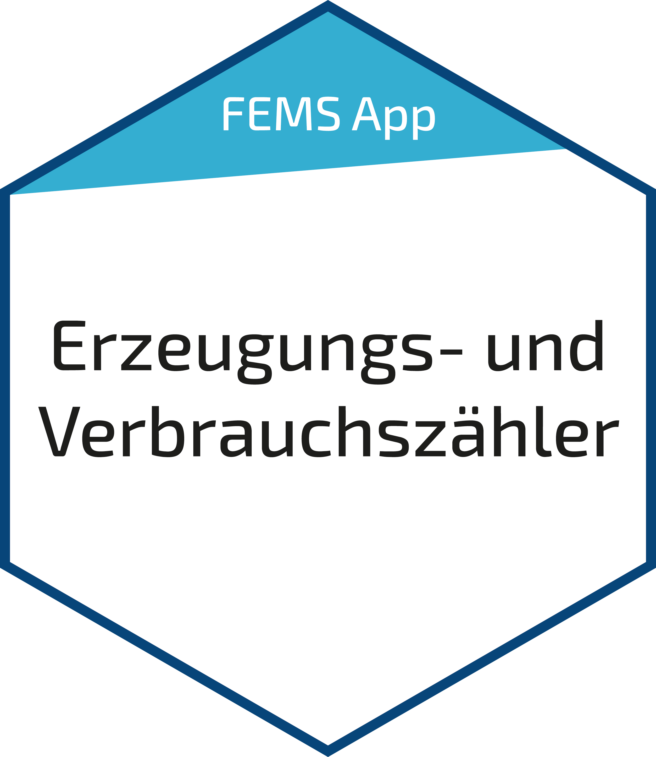 FEMS App Erzeugungs- und Verbrauchszähler